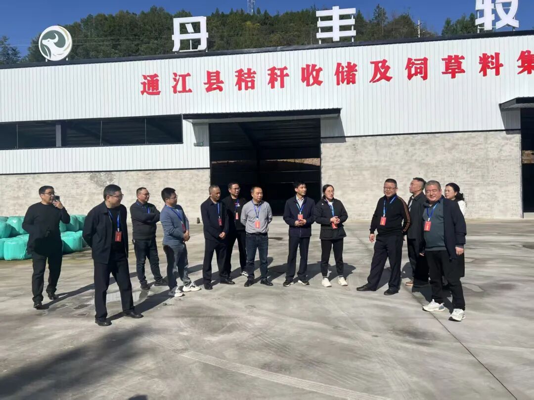 四川省巴中市通江县政协开展“委员沙龙”巧解秸秆难题